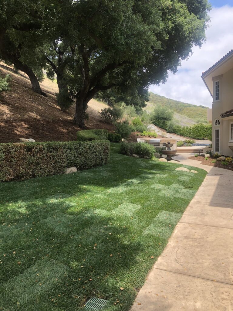 Lawn and Landscaping