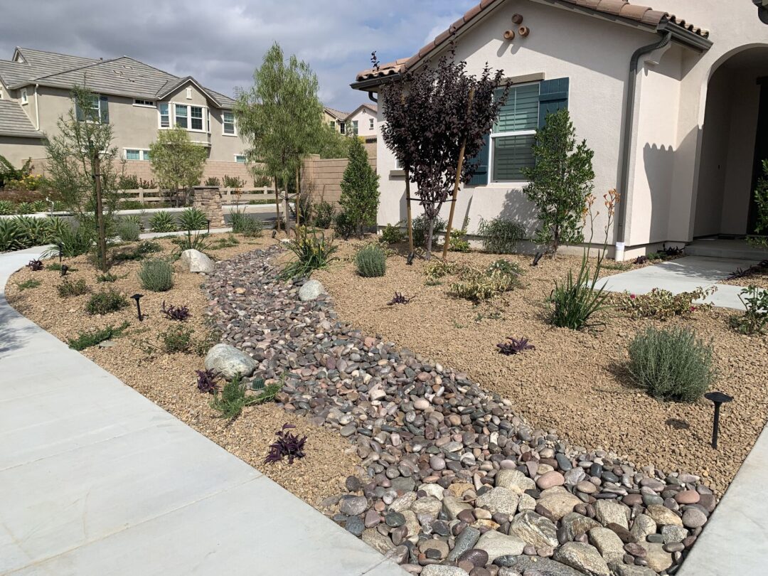 Water Conservation Landscaping